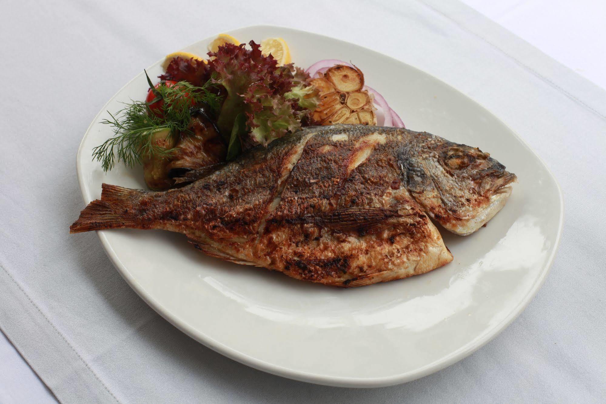 Tria Elegance Istanbul Hotel Ngoại thất bức ảnh